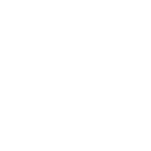 10 years Warranty